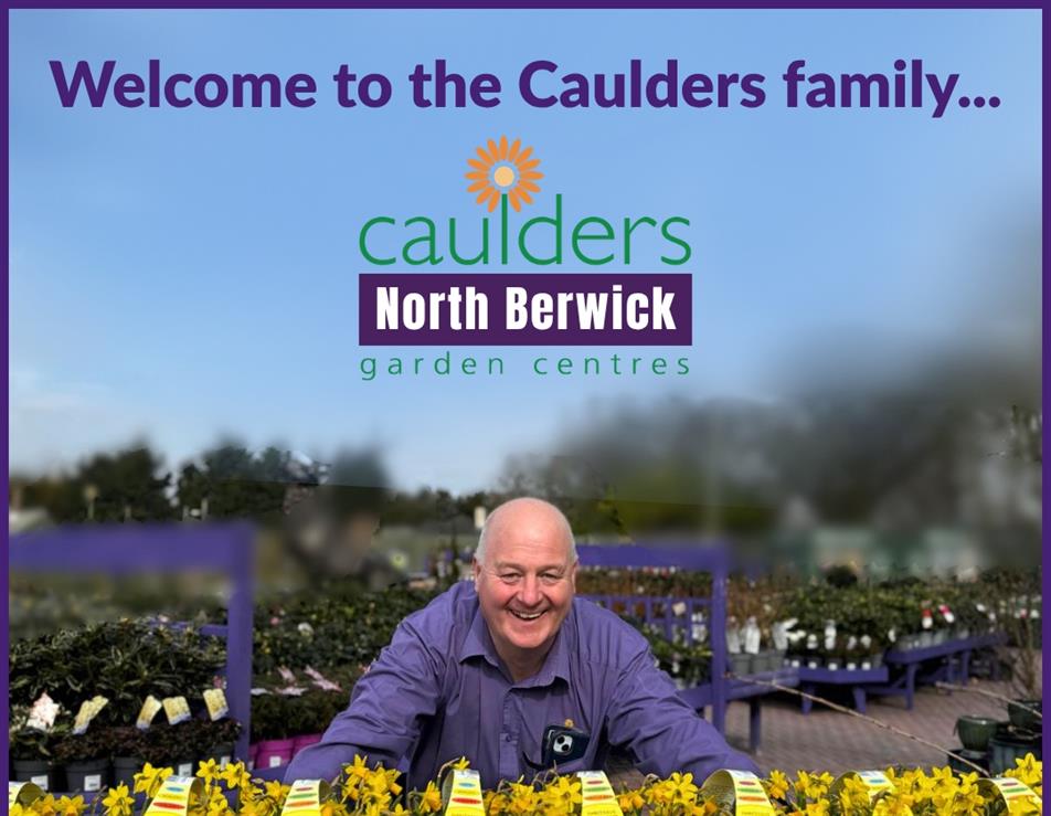 Caulders